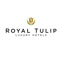 Royal Tulips